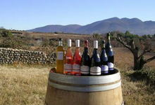 Domaine Le Pre Neuf
