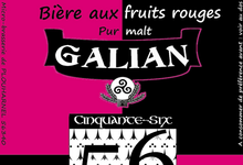 Galian 56, bière aux fruits rouges