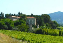 chateau de Rouanne