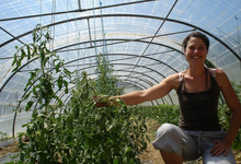 Ferme de Cécile Grigoryev 