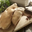 Foie gras d'Oie frais sous vide
