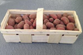 pommes de terre grenailles variété CHEYENNE