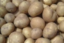 Pommes de terre Anaïs