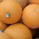 Courge Pomme d'or