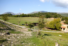 Ferme de Taille Pins
