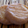 picodon