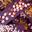 tablettes de chocolat bio
