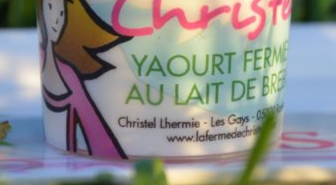 Yaourts nature lait brebis BIO 