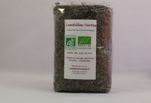  Lentilles vertes BIO
