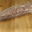 Saucisson à cuire