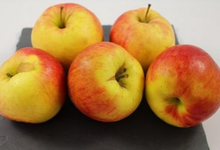 pomme Jonagold