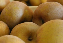 pommes reinette