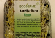 Graine Germées - Lentilles roses