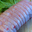 Rôti de porc filet BIO