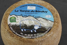 tomme de brebis, la tomme du Dévoluy