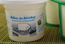 yaourts de brebis nature