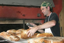 GAEC Le Grain paysan