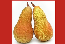 La poire Abate de Remollon
