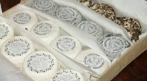 fromages de chèvre bio