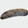 Saucisson de canard