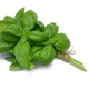 Basilic