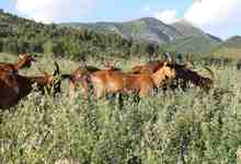 Ferme Les Jassines