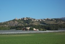 les vergers de Costebelle
