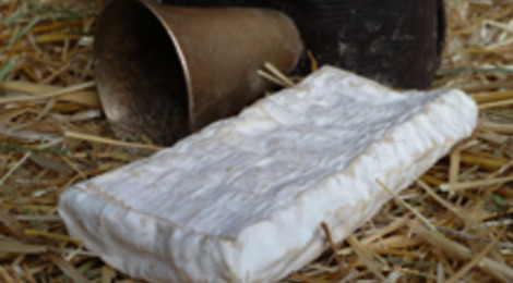 Cabridou chèvre