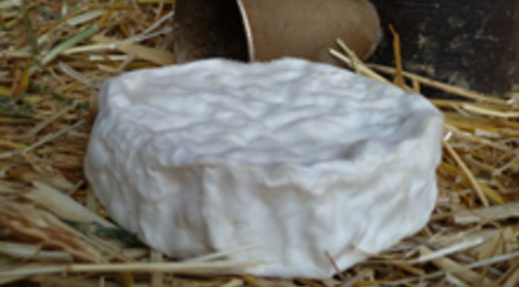 pâte molle de vache