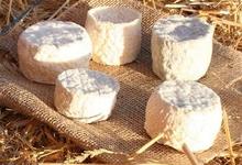 Les Céüsons de vache