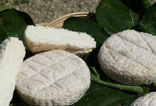  le Cabre d'or : chèvre croûte fleurie