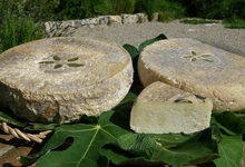  la Pastourelle : brebis / chèvre croûte lavée