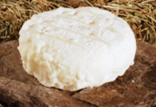 le rond de chèvre