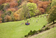 Ferme de la borie, ferme des Cévennes