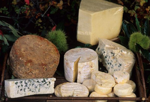 fromages de chèvre