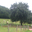 La Ferme La Trufiere