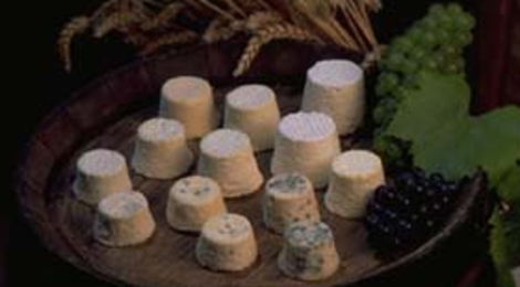 Les fromages de chèvre Mâconnais