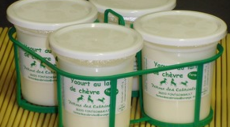 yaourts au lait de chèvre 