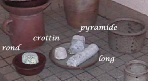 fromages de chèvre