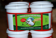 faisselle de chèvre frais, mas de Thomas