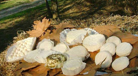 fromages frais de chèvres