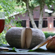 tomme de chèvre du moulin de vignasse