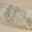 La bûche cendrée