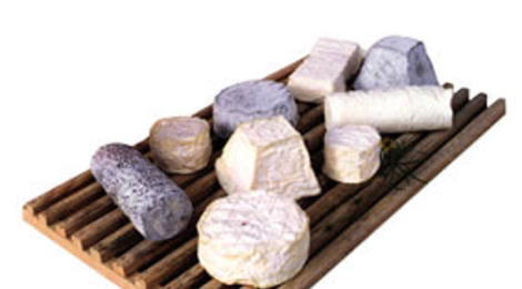 fromages de chèvre