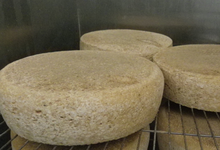 Tomme de brie