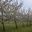 Cidre Briard, Jean-Paul et Nicole Fahy