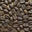 Café PAPOUASIE - Sigri Estate - vallée Waghi - 100% Typica
