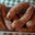 Saucisse de Moneuse