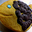  Cookies de Pâques