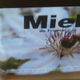 Miel d'acacia; le rucher de la grenouillère
